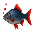 Freshwater Fish