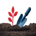 Landscaping & Gardening