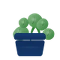 Plants & Greenery