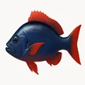 Saltwater Fish