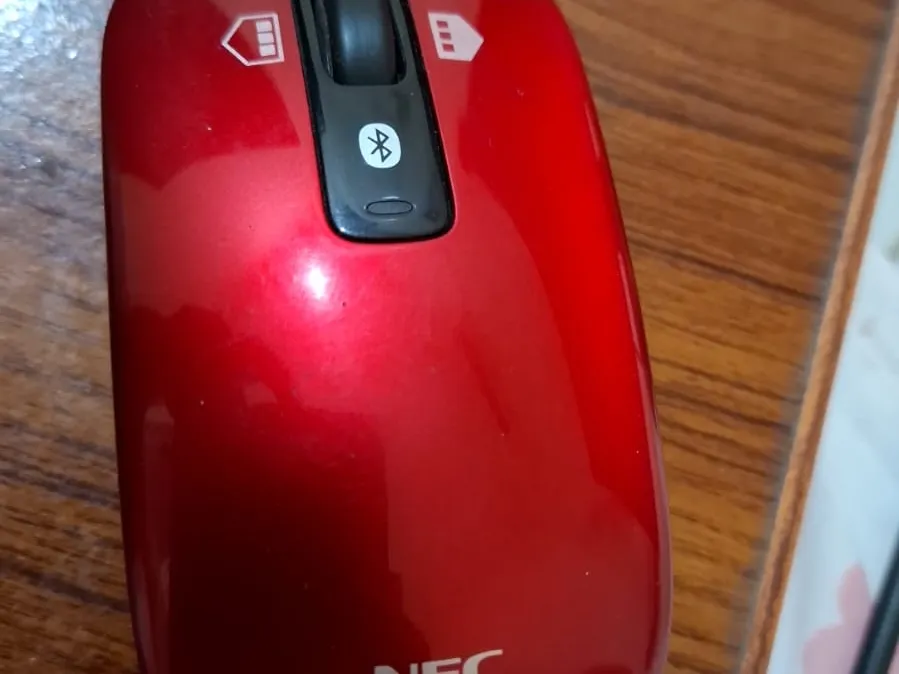 Mouse6
