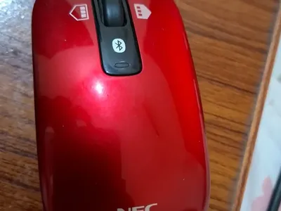 Mouse6